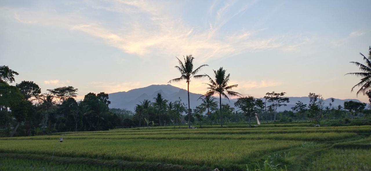 Baratha Hotel & Resto Bondowoso ภายนอก รูปภาพ